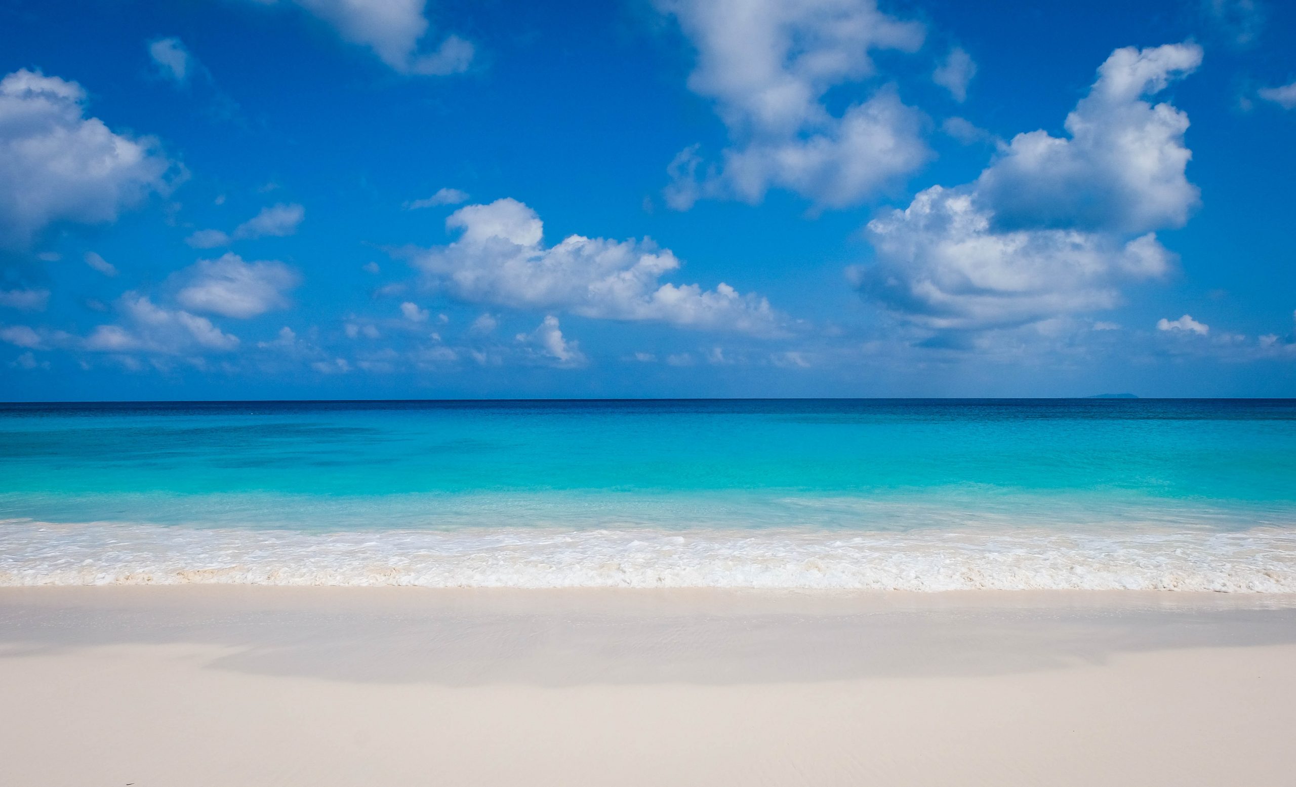 jessica-pamp-sGRMspZmfPE-unsplash